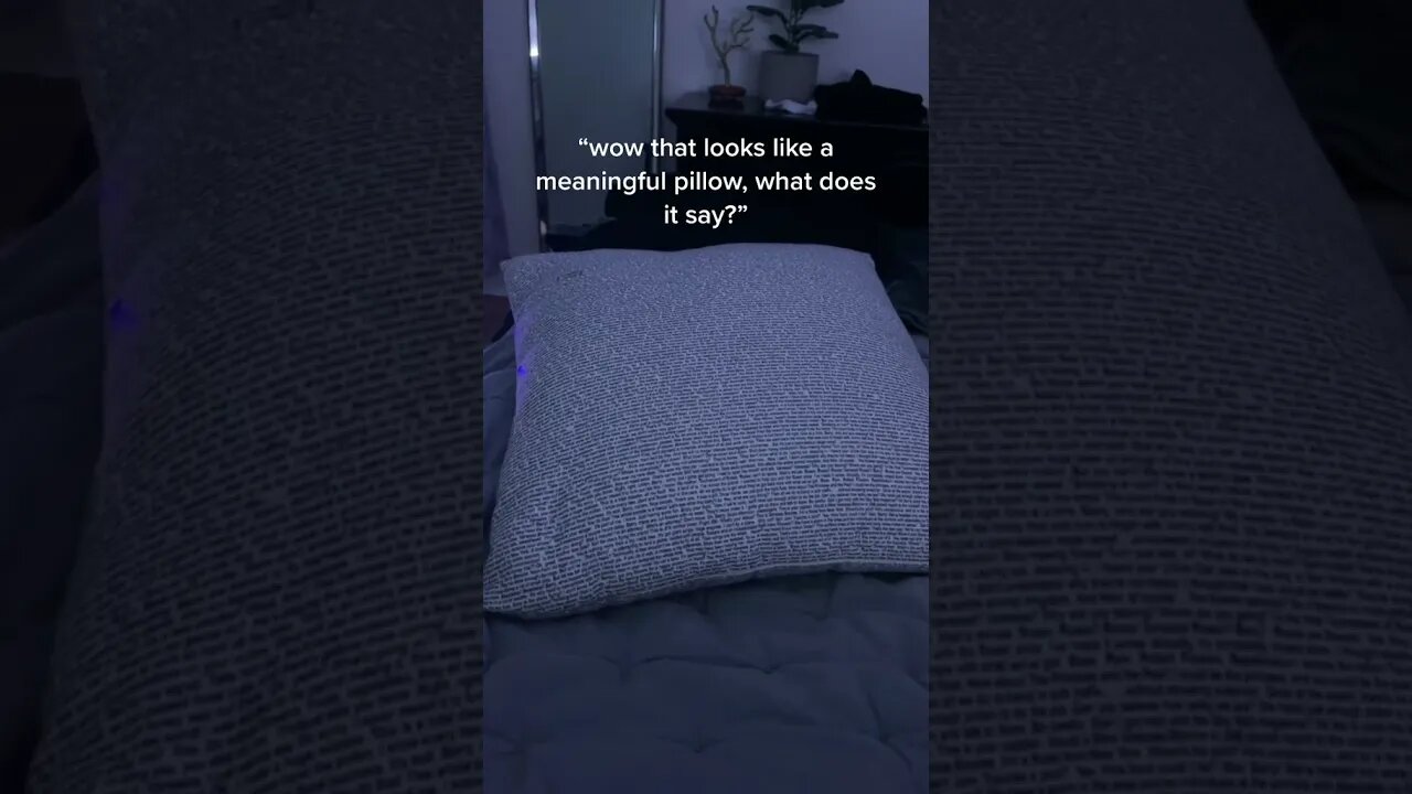 Meaningful Pillow tiktok modoescrack