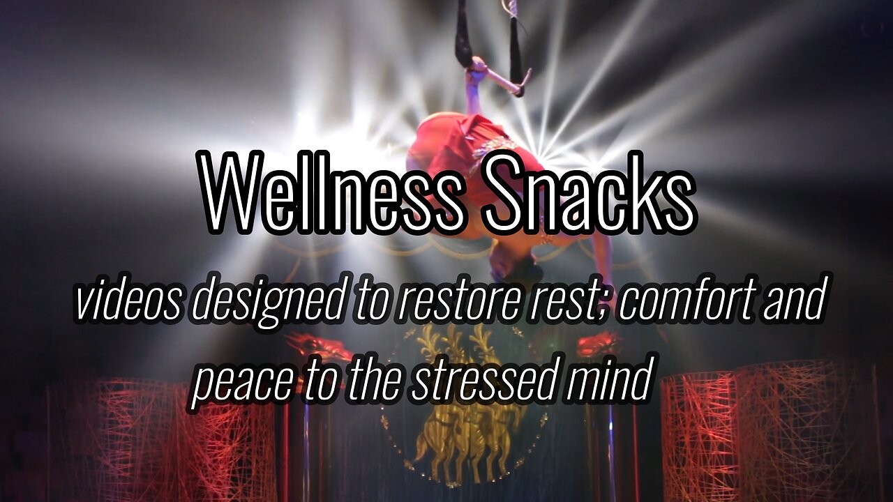 Wellness Snack - Happy Circus Fun!