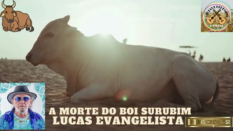 A MORTE DO BOI SURUBIM LUCAS EVANGELISTA