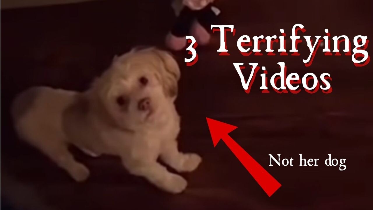 3 Terrifying Videos