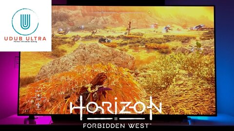 Horizon Forbidden West POV | 4k LG C1 65" OLED | PS5 VRR OFF | Performance Mode | Update 1.16 | NG+