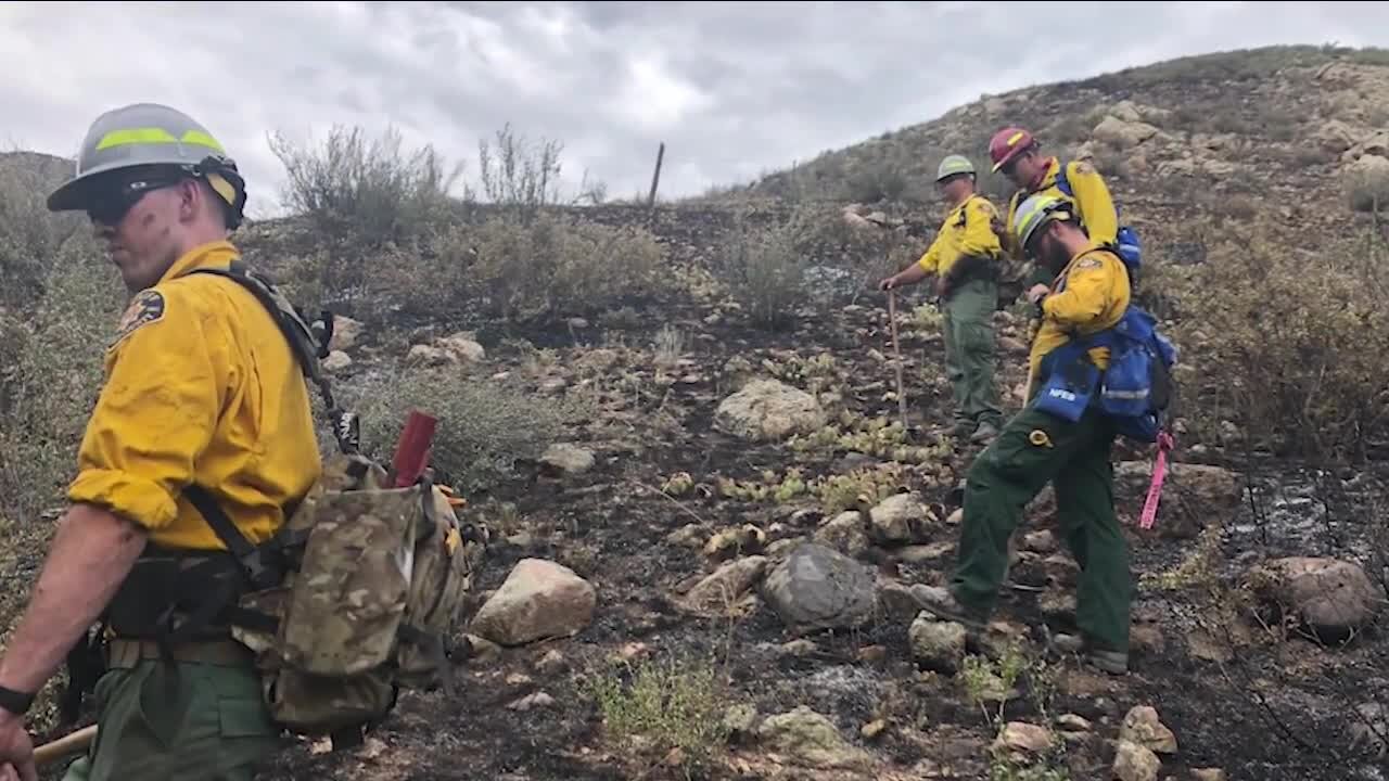 'Void that we felt that we could fill': New team of Larimer County deputies, officers also fights wildfires