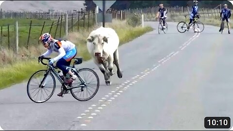 Funniest Fails Of The Year Compilation 2024