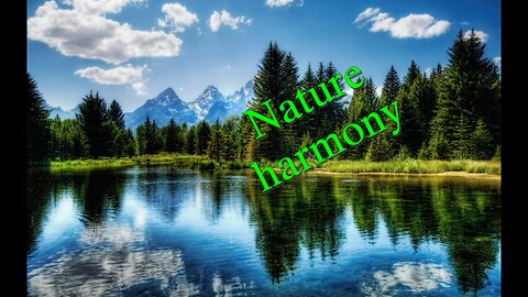 Harmony in nature