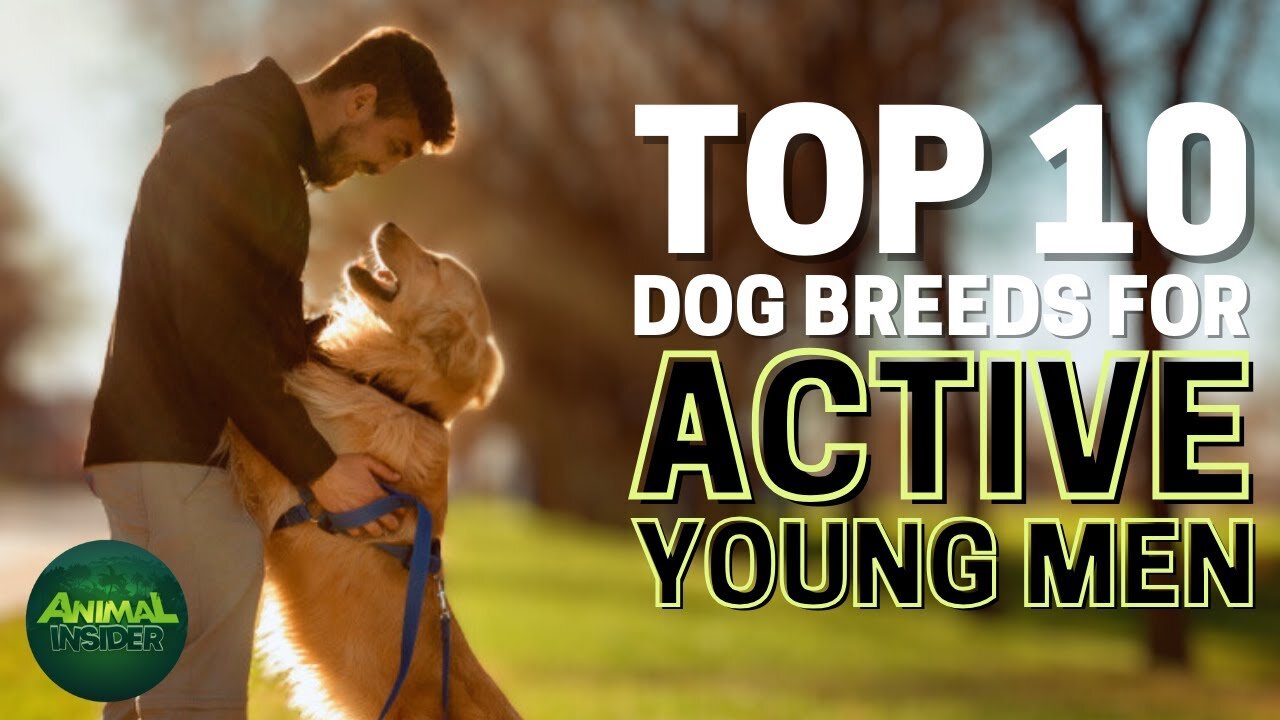 Top 10 dog breeds for young Men