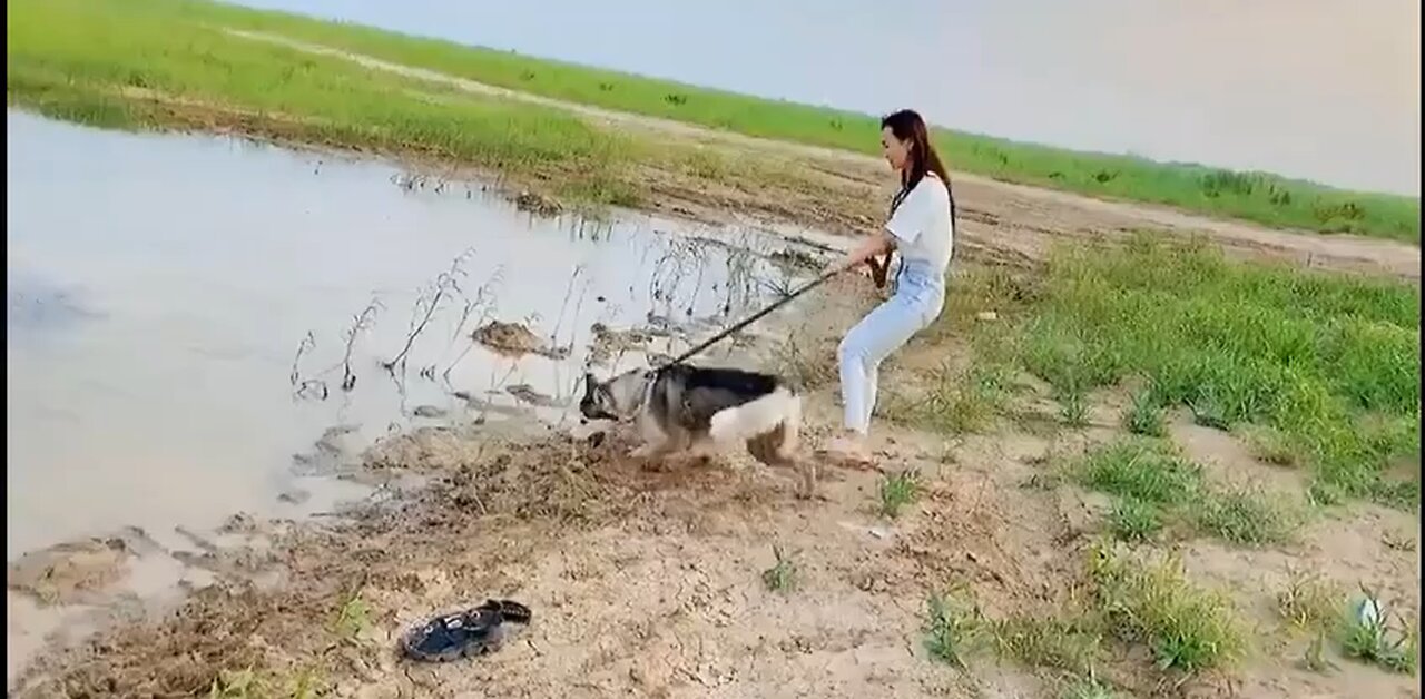 Just relax and go walk the dog 😆😂🤣🤪😲