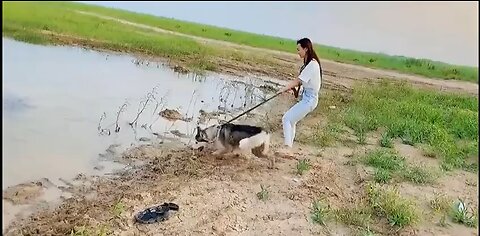 Just relax and go walk the dog 😆😂🤣🤪😲