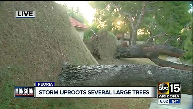Clean-up underway in Peoria after storm damage