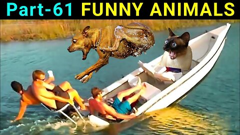 Top 10 Video Clips | Funny Animals Part-61 | Funny Dogs | Funny Cats | Funny Pets | Viral Videos