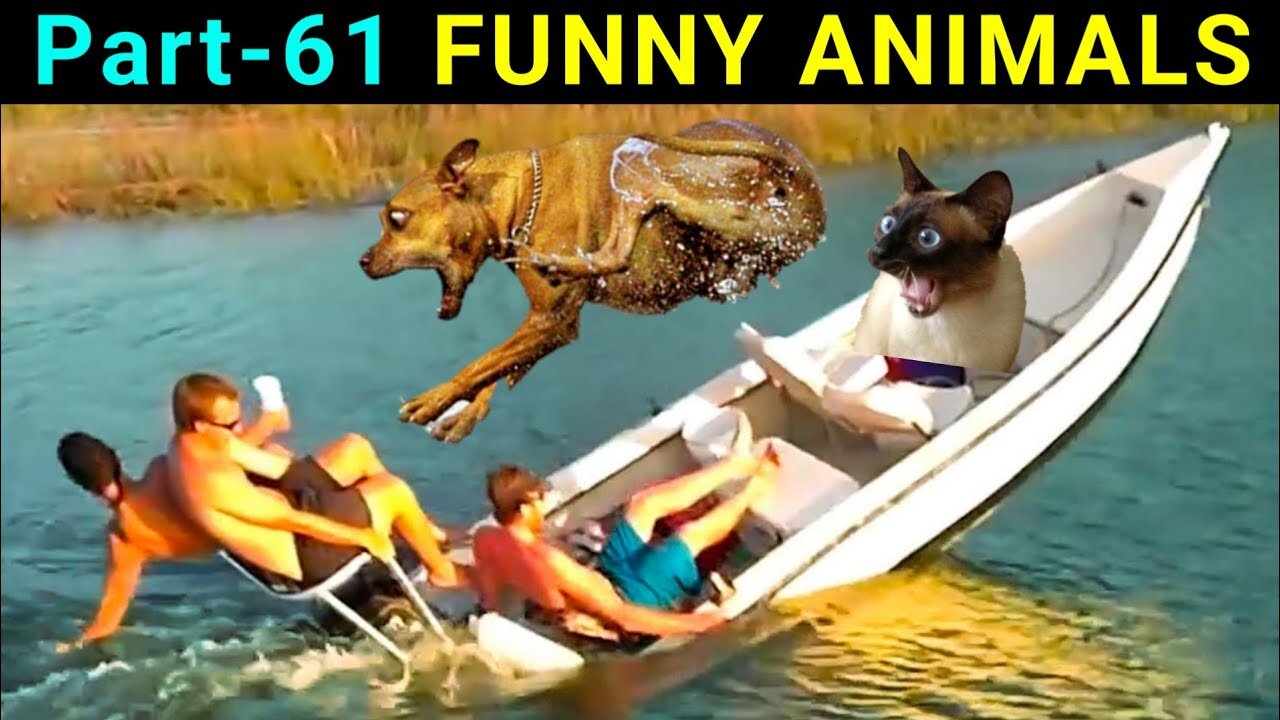 Top 10 Video Clips | Funny Animals Part-61 | Funny Dogs | Funny Cats | Funny Pets | Viral Videos