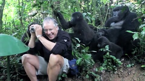 Gorilla Family