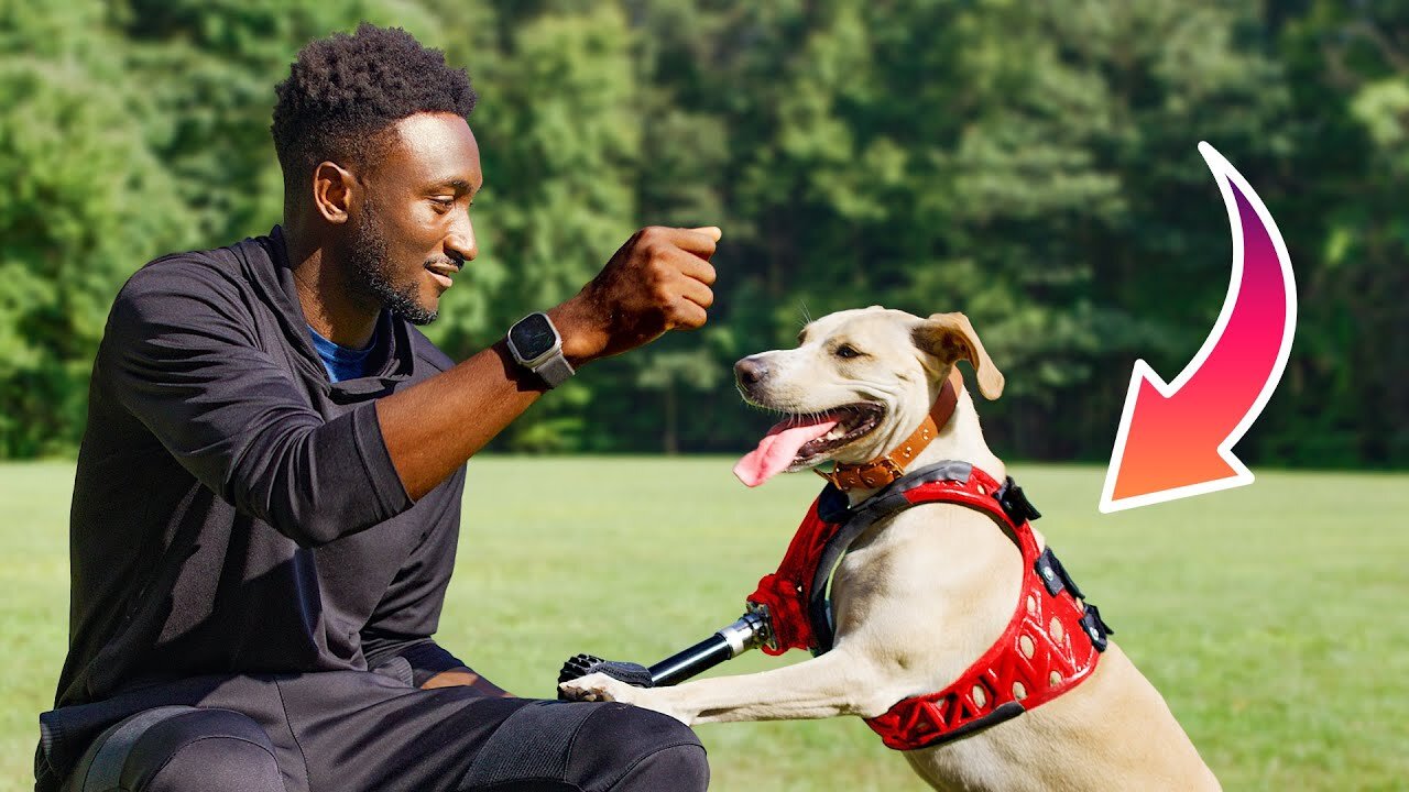 How 3D Printing Changed This Dog's Life!