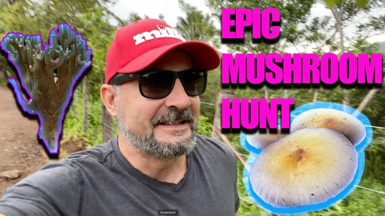 EPIC MAGIC MUSHROOM HUNT IN COSTA RICA (Active and non active foraging)