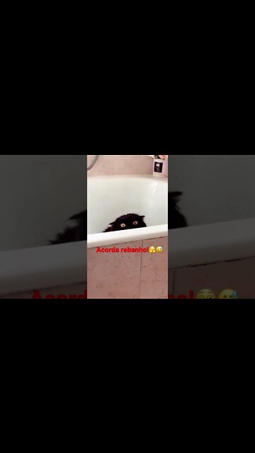 Acorda meu povo I Não veja esse vídeo I cenas fortes