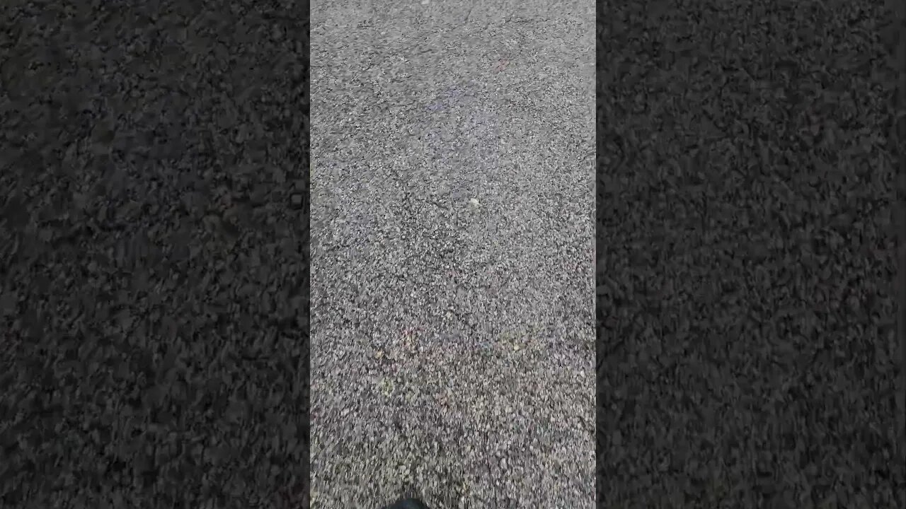 I just heard thunder #shorts