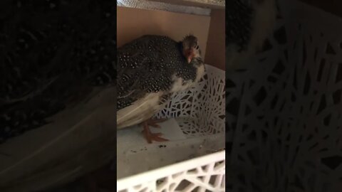 Changed hospital box set up for her week stay