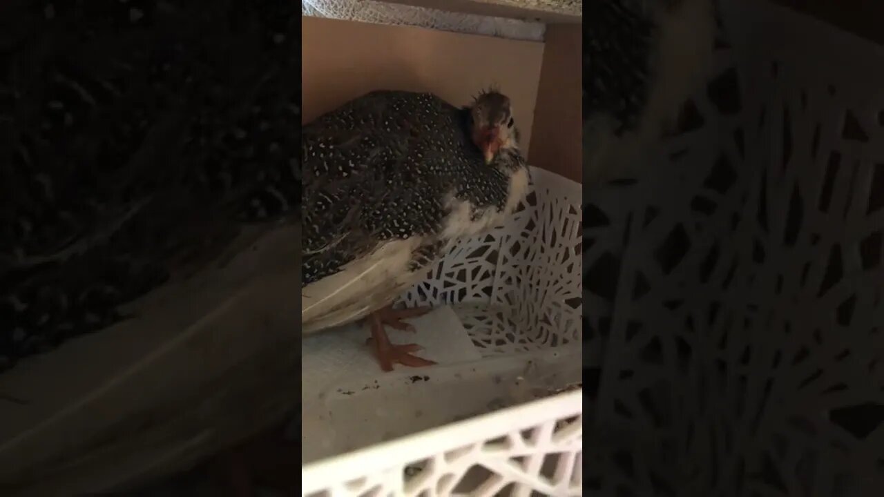 Changed hospital box set up for her week stay