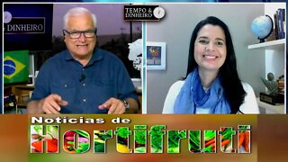 Noticias de Hortifrúti - com Mariana Aranha