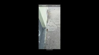 Jogando PokéGO fora de casa u.u
