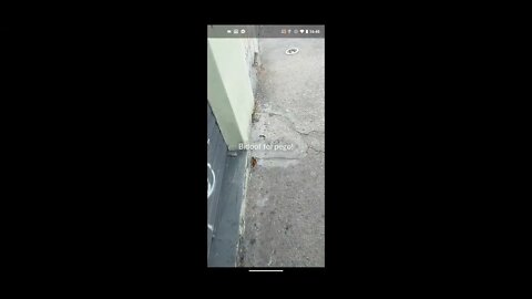 Jogando PokéGO fora de casa u.u