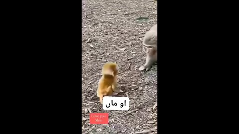mother love