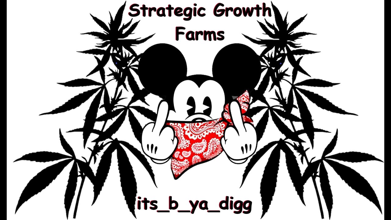 Moving from youtube!! its_b_ya_digg STRATEGIC GROWTH FARMS