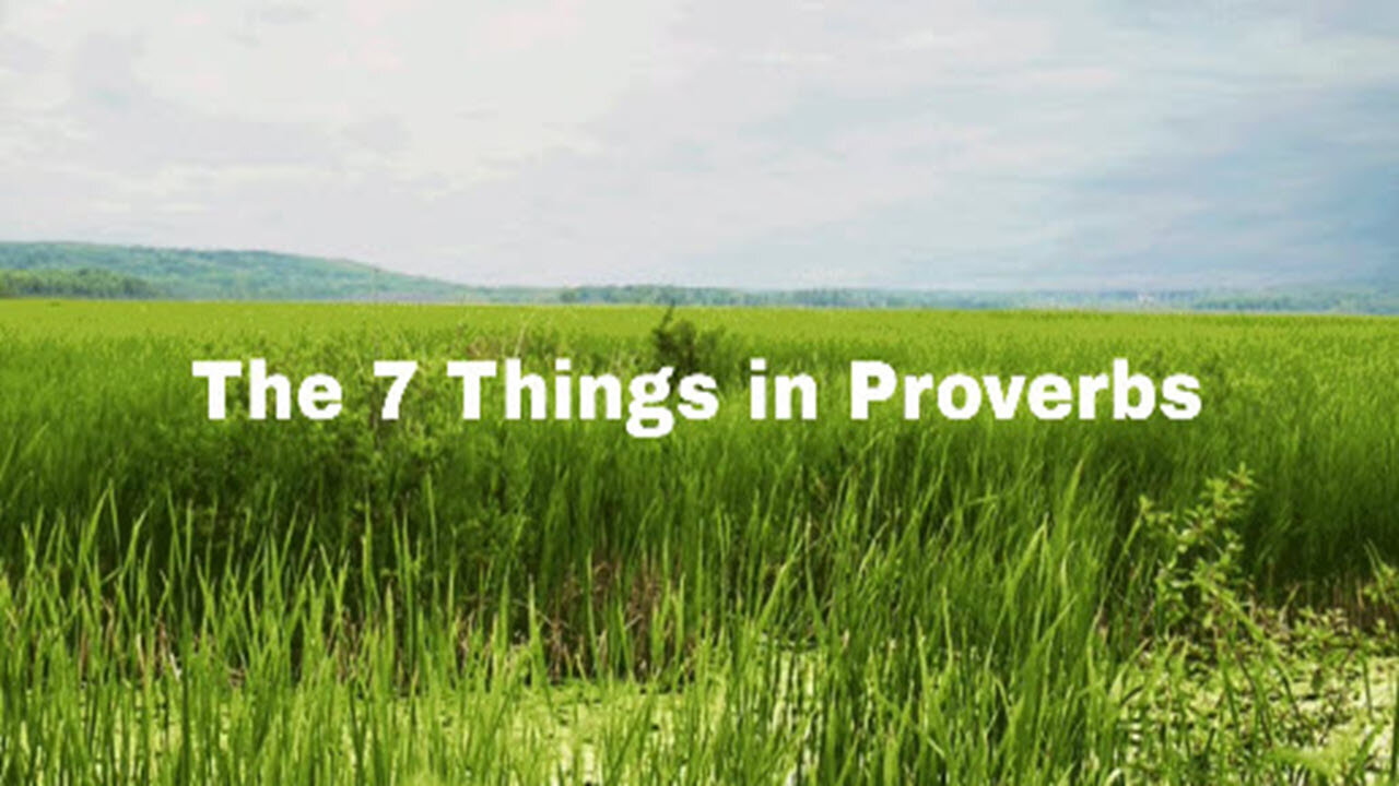 The Seven Things