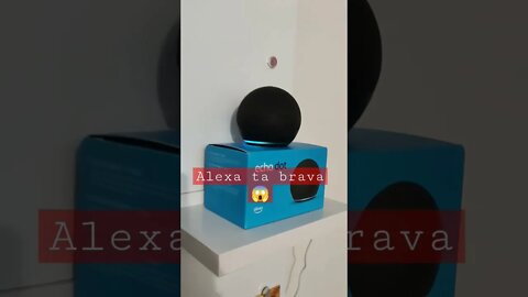 Que mulher brava #shorts #alexa #viralshorts #video #amazon #fun #kids