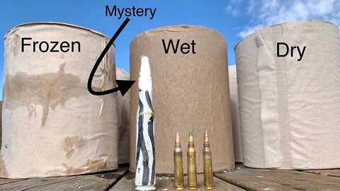 50 BMG Zebra Round vs Paper Towels