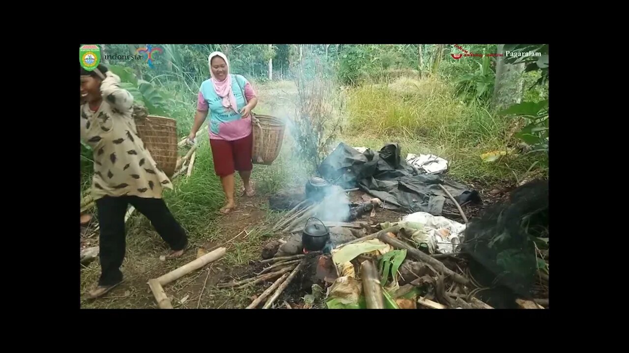 DARA BEHUSEK -M DASI'I & NOVIDA E.P - GITAR TUNGGAL BATANGHARI SEMBILAN SUMATERA SELATAN 1978 OKI