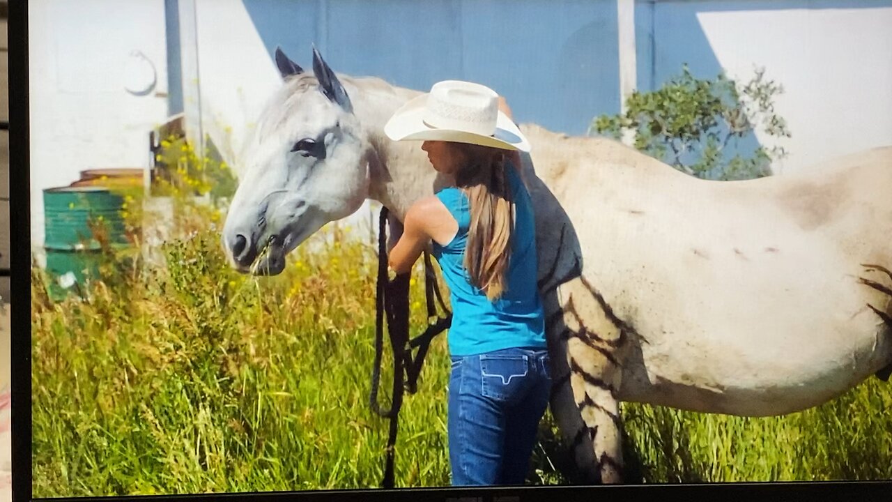 Heartland 16X6 Amy Calming Down the Zorse