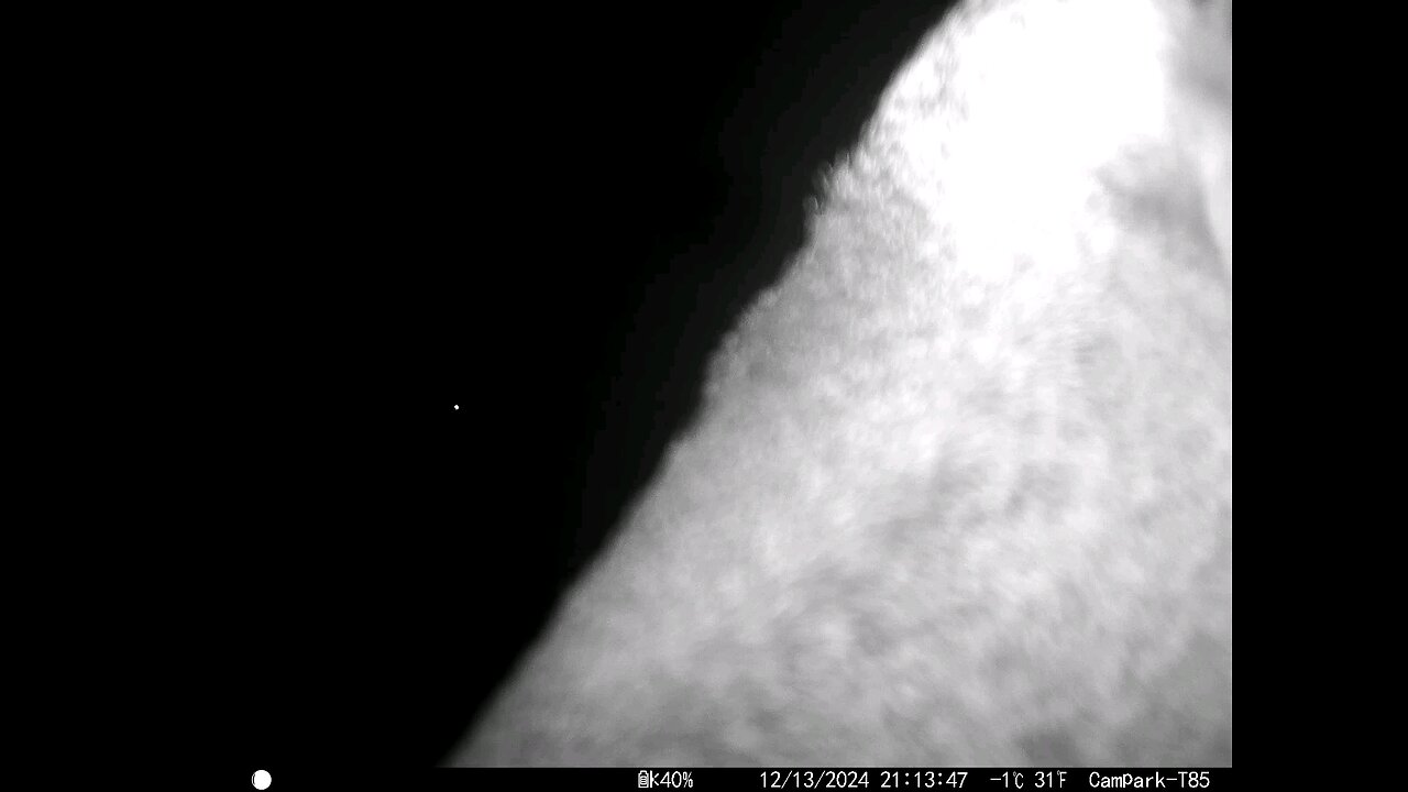 Deer Cam 12-13-2024 Close