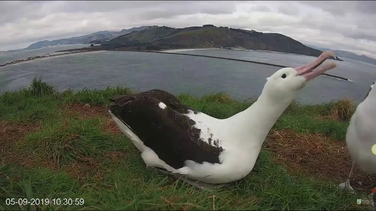 Karere's Dad comes to feed her and spend some precious moments with her. 9-5-19