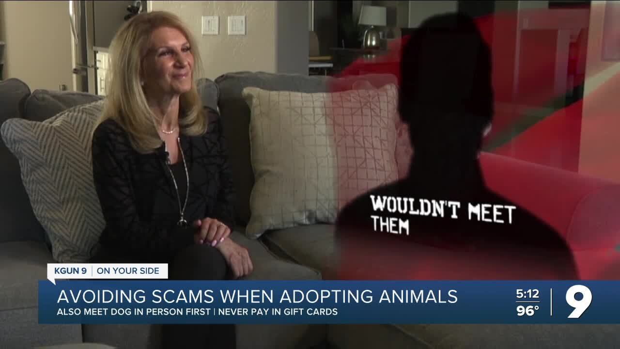 Avoiding scams when adopting animals