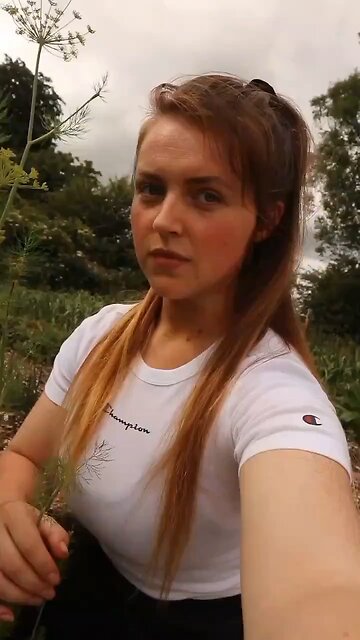 Do you have a healer or a dealer??