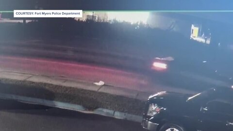 Tips sought in fatal hit-and-run