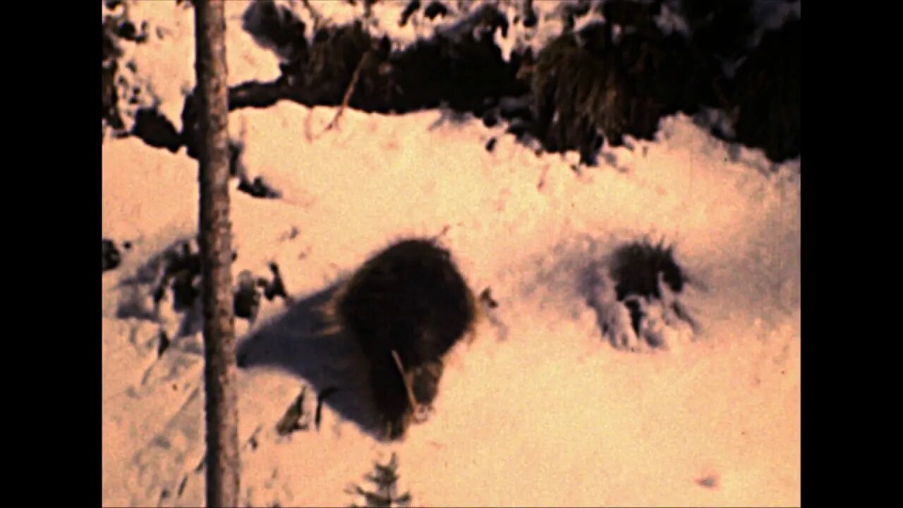 Leo Reel and Gabby Barrus on Carter Mountain