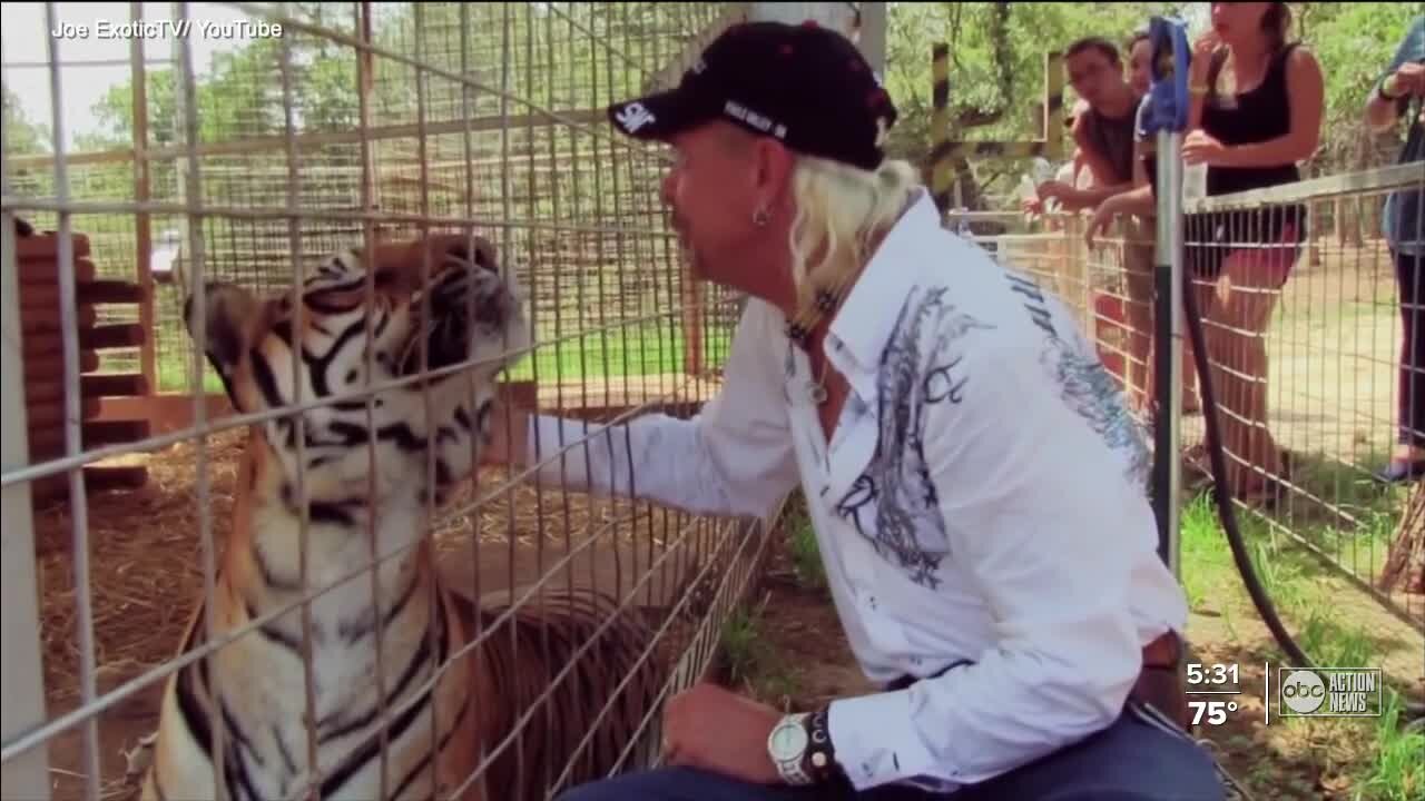 Joe Exotic's attorney says new evidence exonerates client