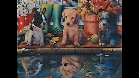 Puppy Dreams 750 Piece Jigsaw Puzzle Time Lapse