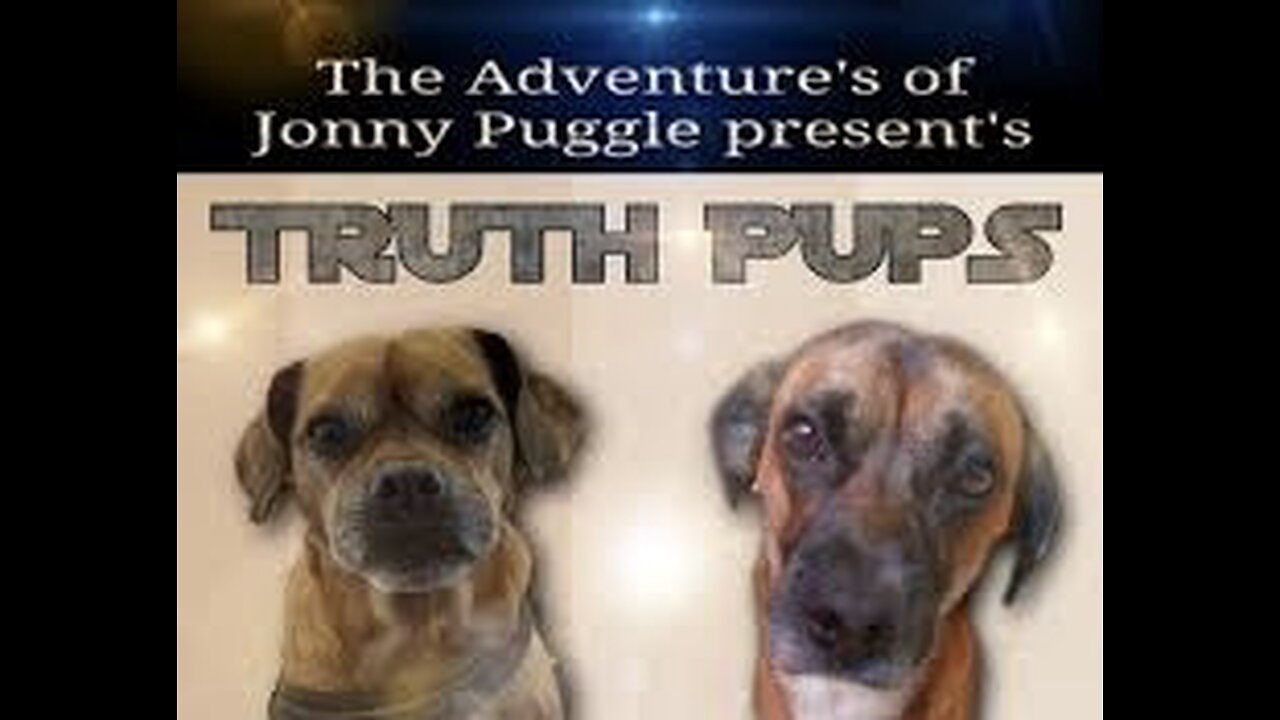 Truth Pups - Random Episode - Comedy + Disclosure