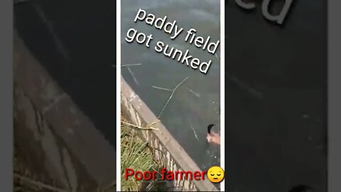 He isn't afraid of hard work or pain