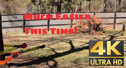 ***NEW*** #2 Pulling Stumps With Snatch Block Pulleys 25:1 Mechanical Advantage [4K 60FPS]