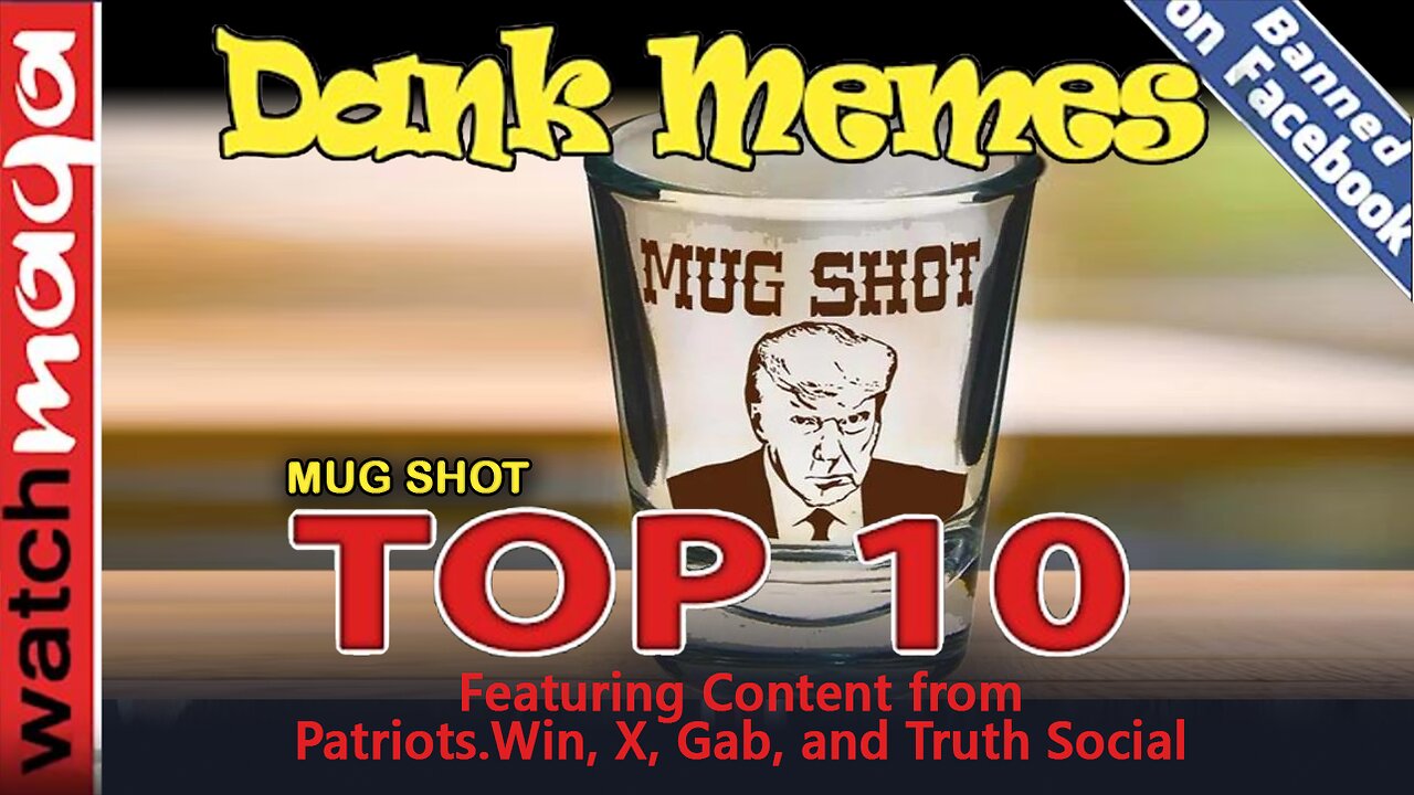 Mug Shot: TOP 10 MEMES