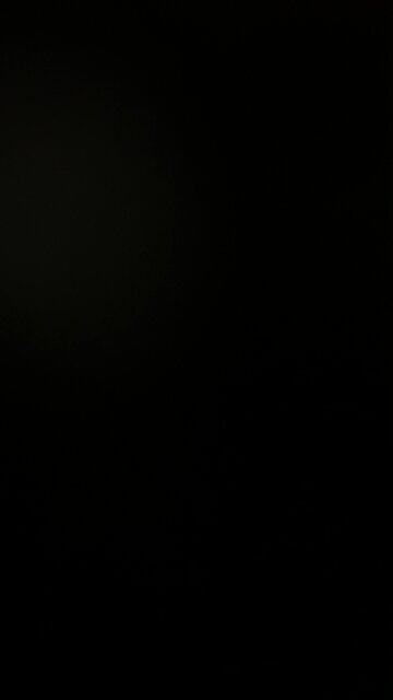 US government can manipulate Twitter algorithm