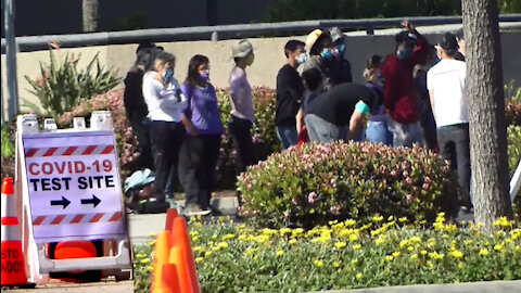 592. Is it a Plandemic?