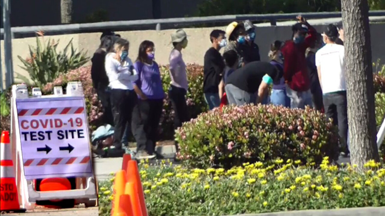 592. Is it a Plandemic?