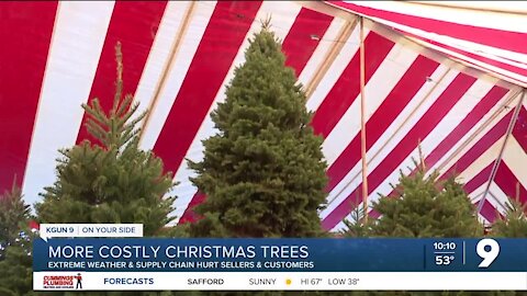 Christmas trees more costly this year for Tucsonans and tree lots