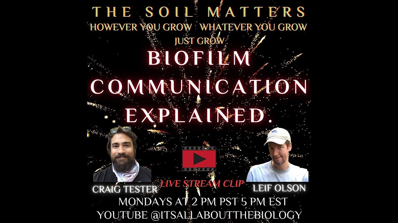 Biofilm Communication Explained