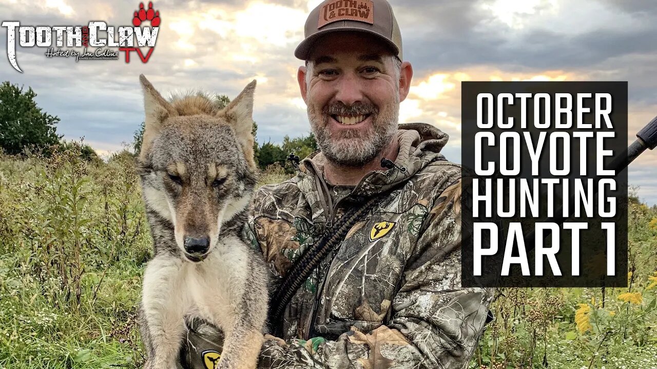 October Coyote Hunting Part 1