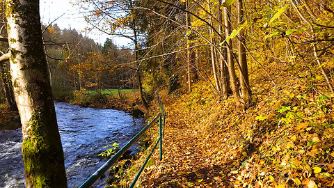 River Valley In Autumn - ASMR Relaxing Virtual Forest Walk Nature Sounds No Music